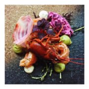 Zalm, gravad lax & verse rivierkreeft