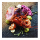 Zalm, gravad lax & verse rivierkreeft